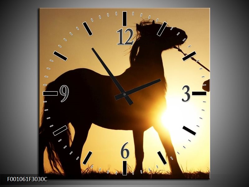 Klok schilderij Paard | Zwart, Geel | 30x30cm 1Luik