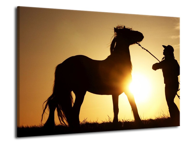 Canvas schilderij Paard | Zwart, Geel | 70x50cm 1Luik