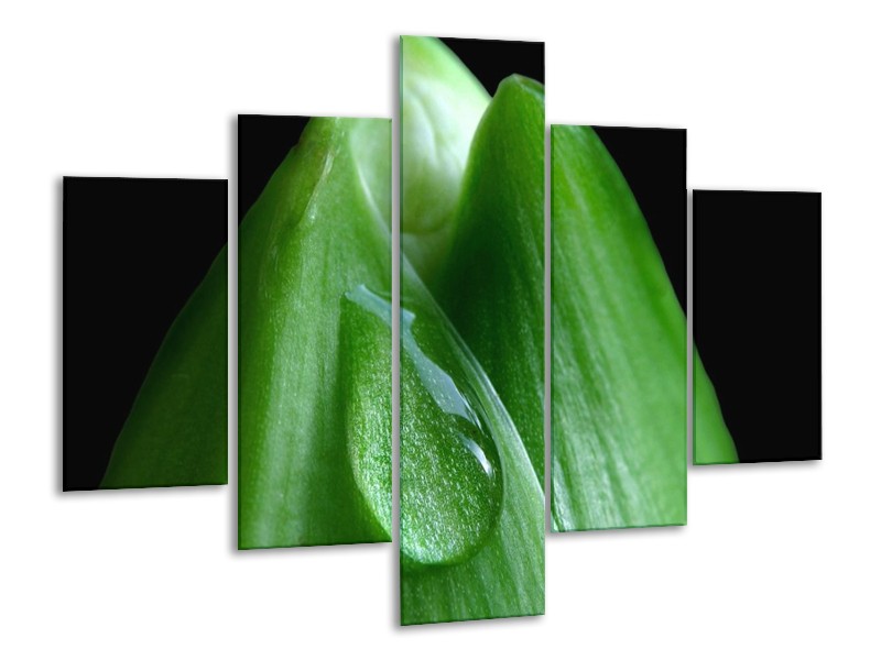 Canvas schilderij Druppels | Groen, Zwart | 100x70cm 5Luik