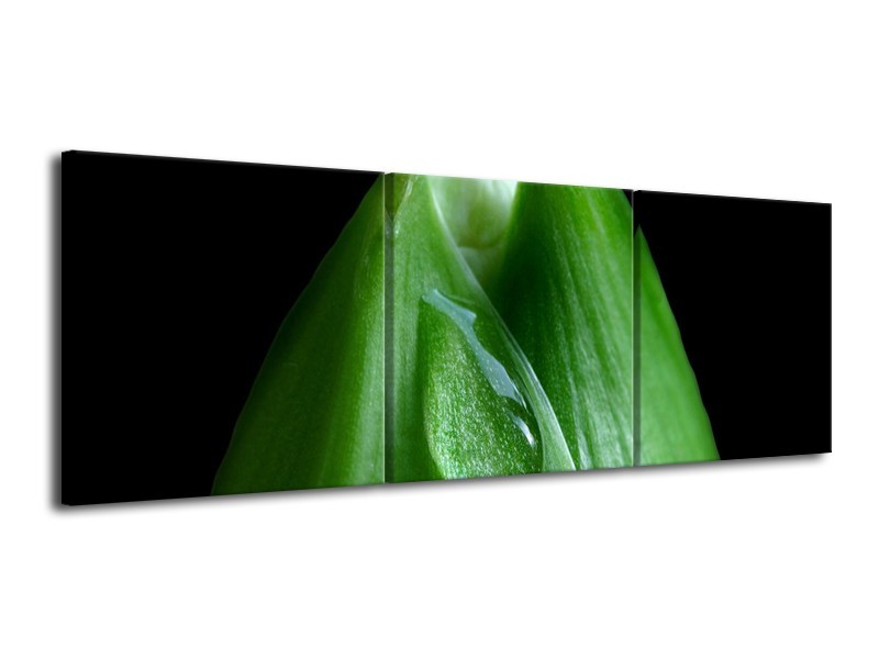 Canvas schilderij Druppels | Groen, Zwart | 120x40cm 3Luik