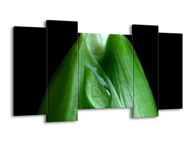 Canvas schilderij Druppels | Groen, Zwart | 120x65 5Luik