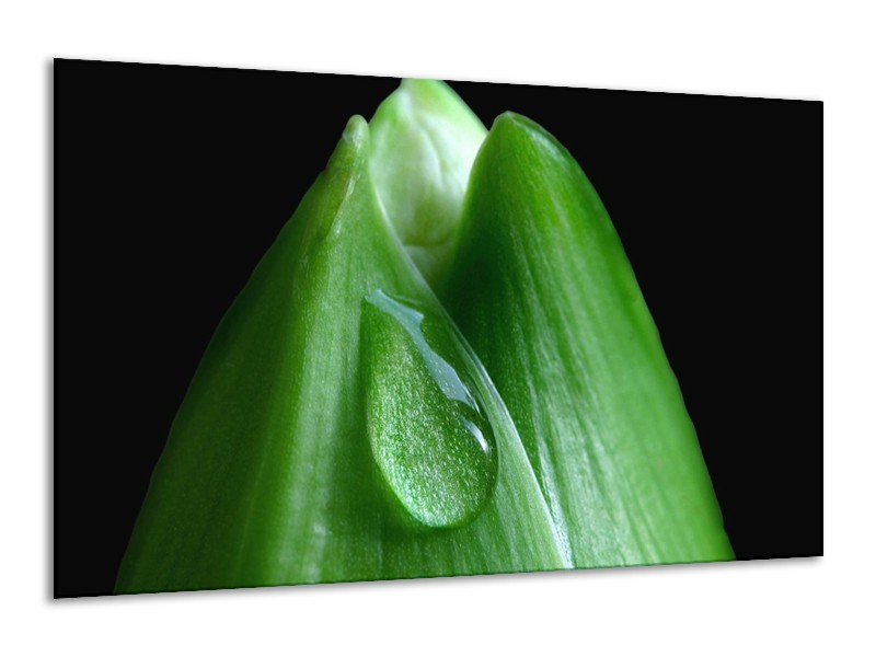Canvas schilderij Druppels | Groen, Zwart | 120x70cm 1Luik