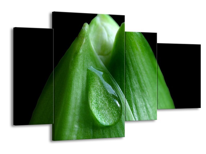 Canvas schilderij Druppels | Groen, Zwart | 120x75cm 4Luik