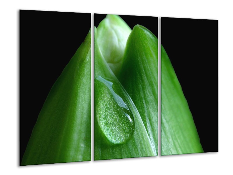 Canvas schilderij Druppels | Groen, Zwart | 120x80cm 3Luik
