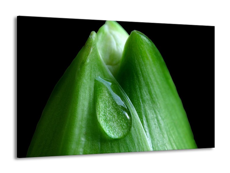 Canvas schilderij Druppels | Groen, Zwart | 140x90cm 1Luik