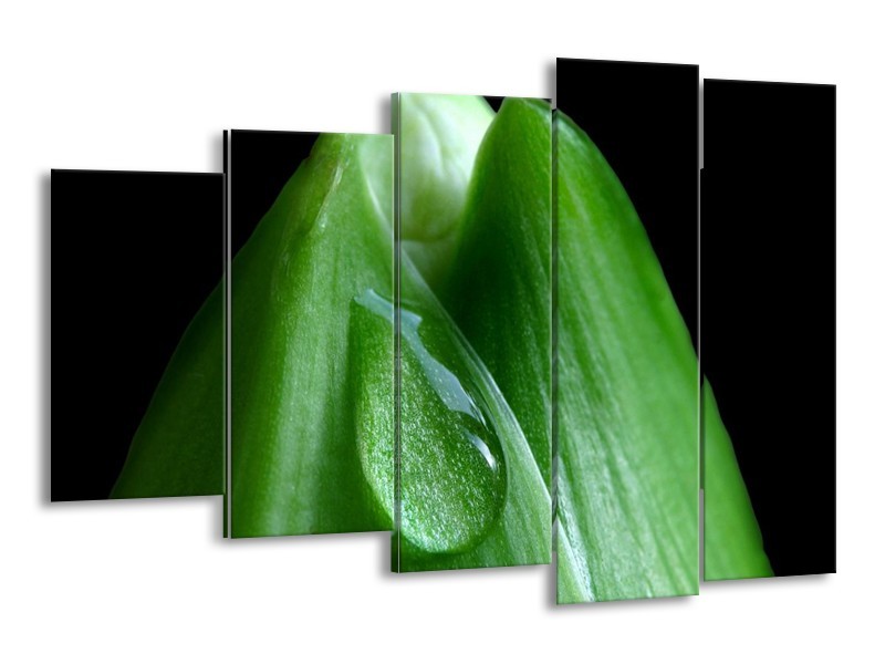 Canvas schilderij Druppels | Groen, Zwart | 150x100cm 5Luik