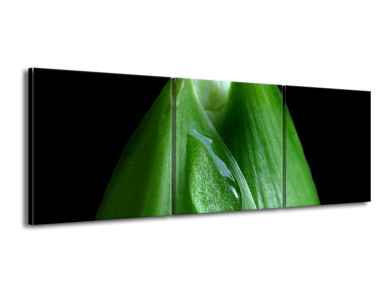 Canvas schilderij Druppels | Groen, Zwart | 150x50cm 3Luik