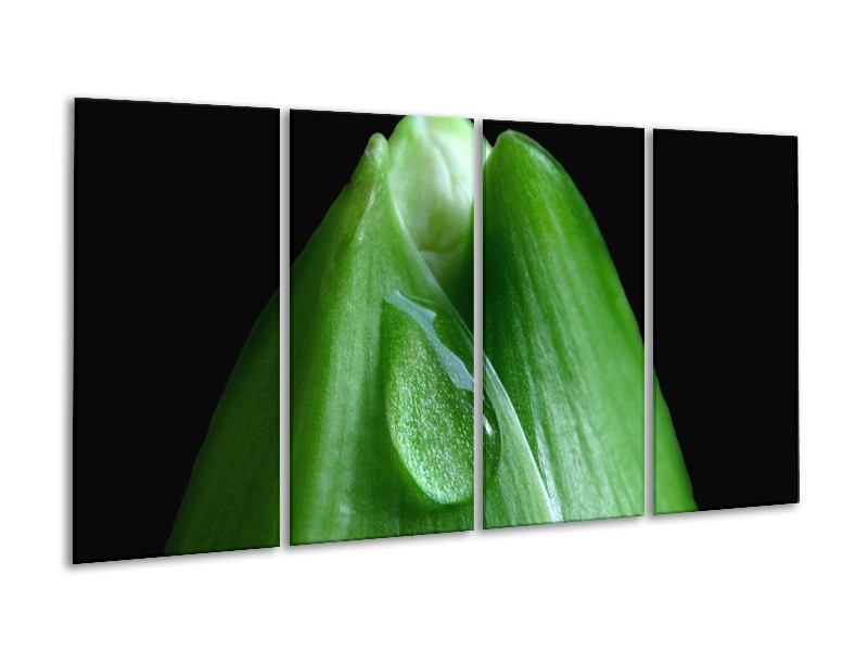 Canvas schilderij Druppels | Groen, Zwart | 160x80cm 4Luik