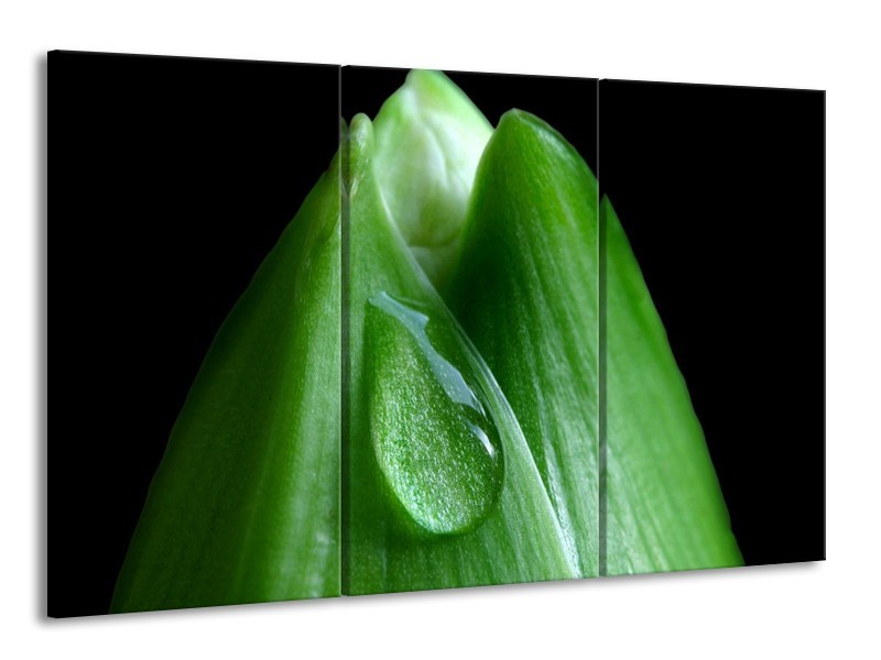 Canvas schilderij Druppels | Groen, Zwart | 165x100cm 3Luik