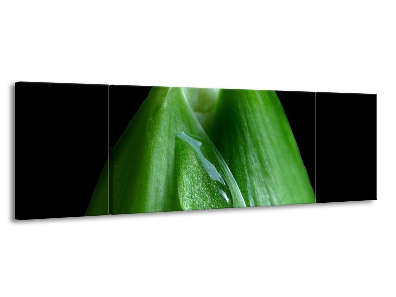 Canvas schilderij Druppels | Groen, Zwart | 170x50cm 3Luik