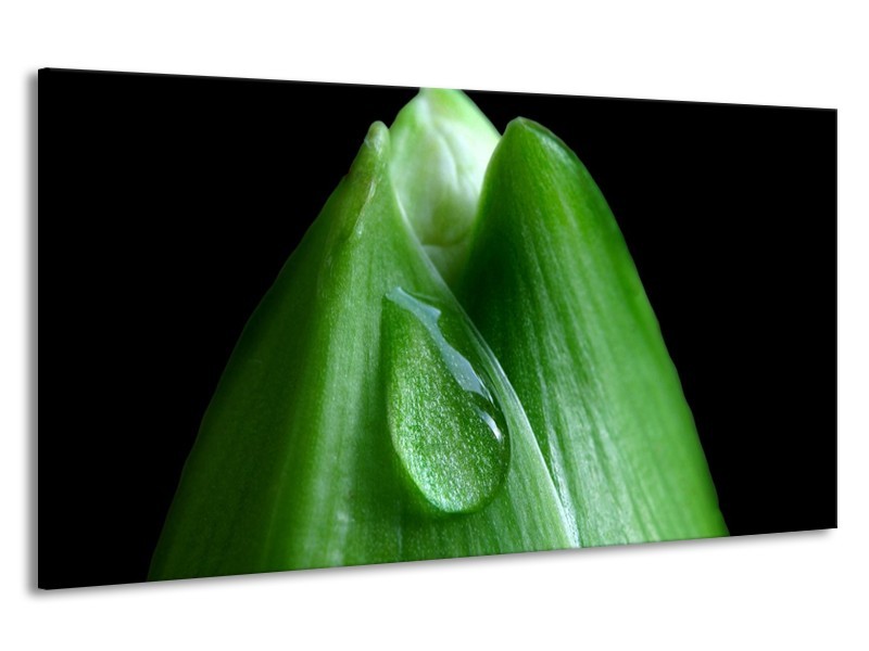 Canvas schilderij Druppels | Groen, Zwart | 190x100cm 1Luik