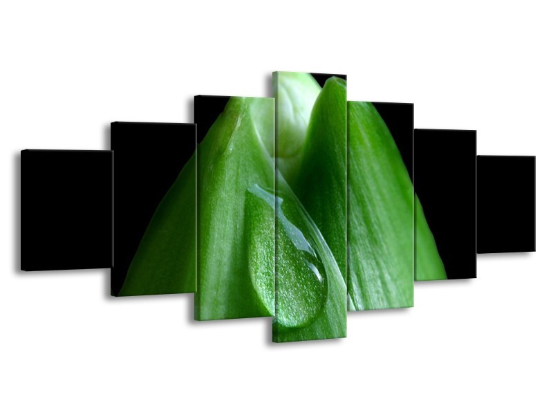 Canvas schilderij Druppels | Groen, Zwart | 210x100cm 7Luik