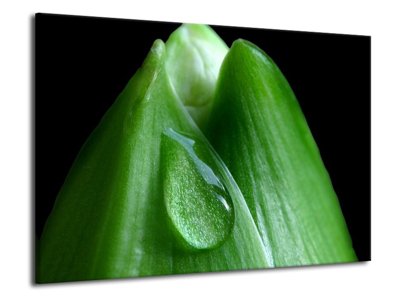 Canvas schilderij Druppels | Groen, Zwart | 70x50cm 1Luik