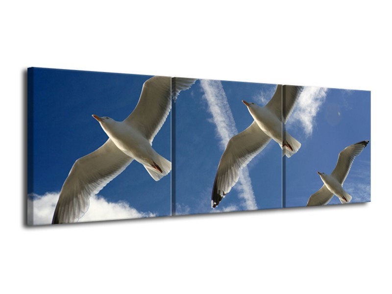 Canvas schilderij Vogels | Blauw, Zwart | 120x40cm 3Luik