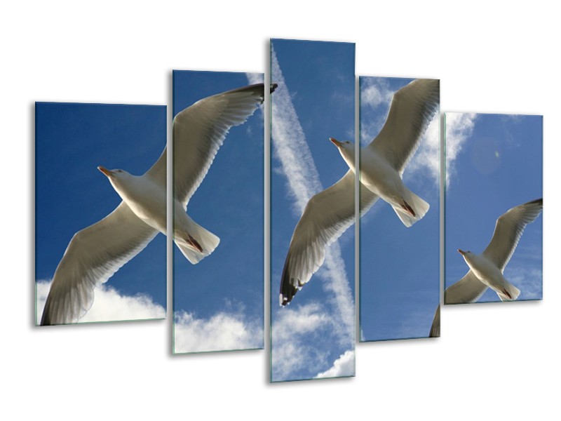 Glas schilderij Vogels | Blauw, Zwart | 170x100cm 5Luik