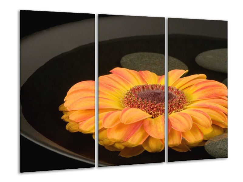 Canvas schilderij Bloem | Zwart, Oranje, Geel | 120x80cm 3Luik