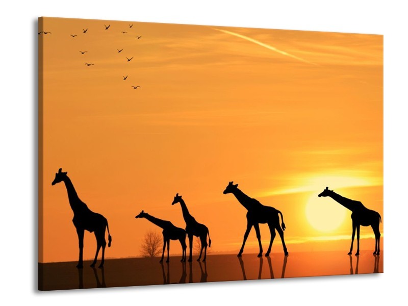 Canvas schilderij Giraffes | Oranje, Geel, Zwart | 100x70cm 1Luik