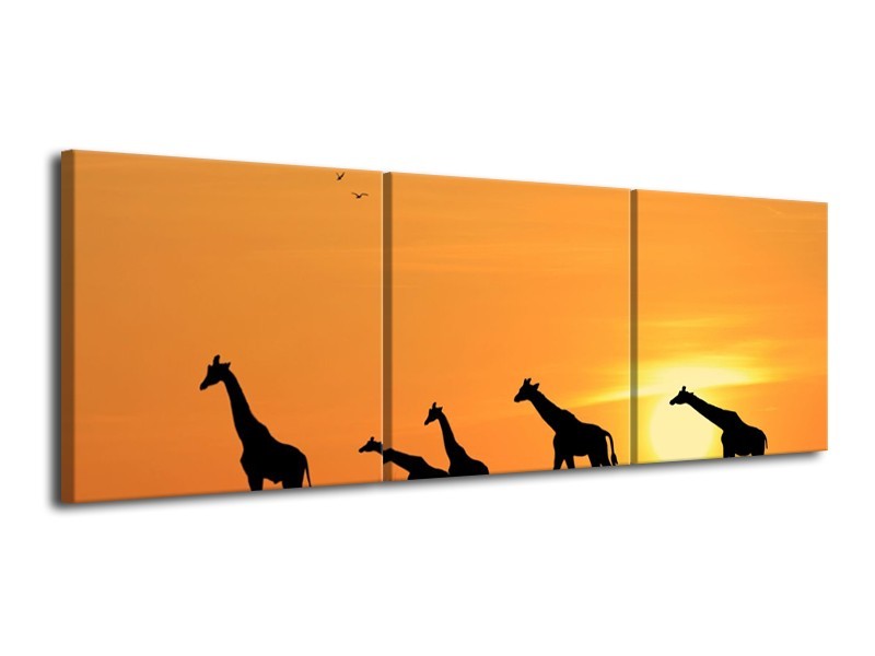 Canvas schilderij Giraffes | Oranje, Geel, Zwart | 120x40cm 3Luik