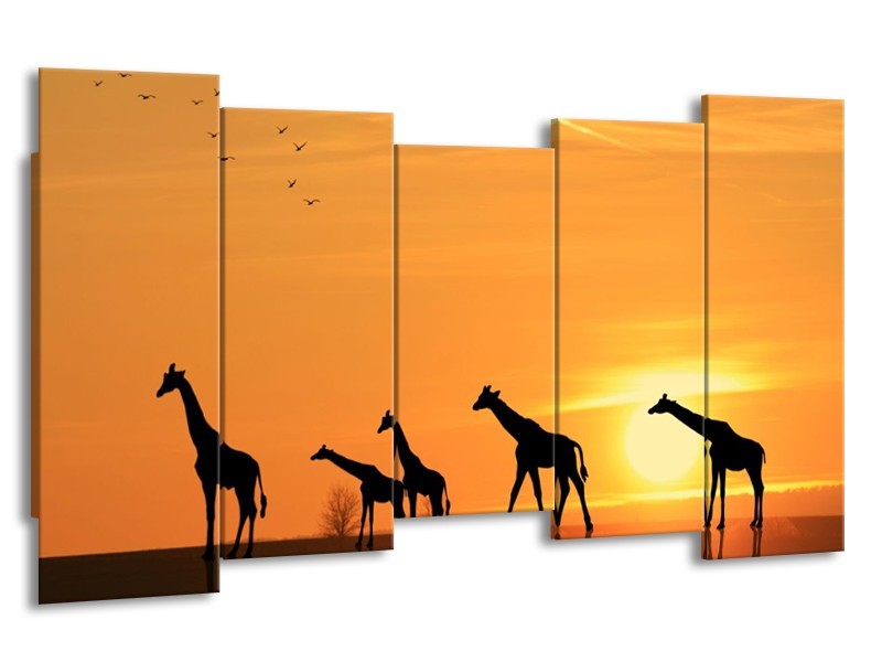 Canvas schilderij Giraffes | Oranje, Geel, Zwart | 150x80cm 5Luik