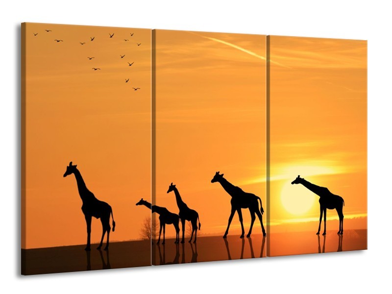 Canvas schilderij Giraffes | Oranje, Geel, Zwart | 165x100cm 3Luik