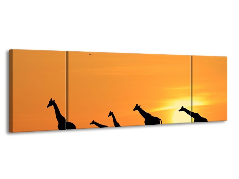 Glas schilderij Giraffes | Oranje, Geel, Zwart | 170x50cm 3Luik