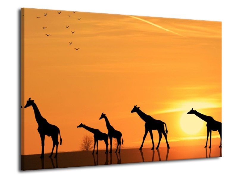 Canvas schilderij Giraffes | Oranje, Geel, Zwart | 70x50cm 1Luik