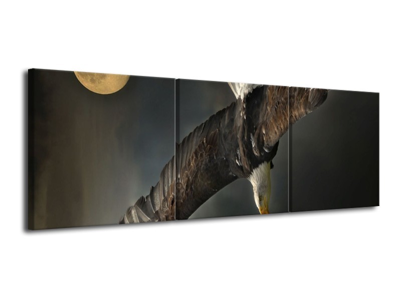 Glas schilderij Sport | Bruin, Zwart | 120x40cm 3Luik