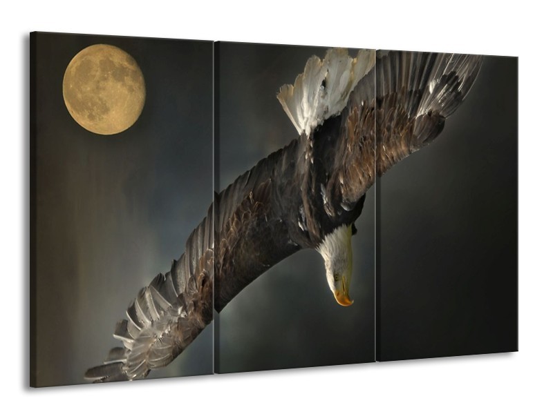 Canvas schilderij Sport | Bruin, Zwart | 165x100cm 3Luik