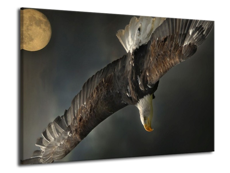 Canvas schilderij Sport | Bruin, Zwart | 70x50cm 1Luik