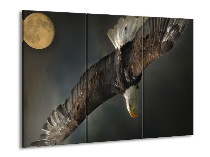 Canvas schilderij Sport | Bruin, Zwart | 90x60cm 3Luik