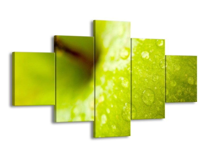 Canvas schilderij Appel | Groen | 125x70cm 5Luik