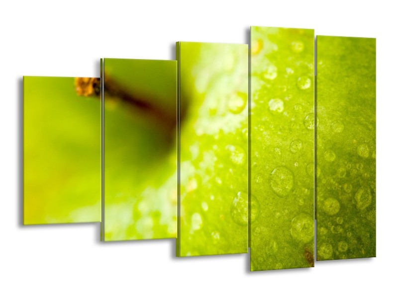 Canvas schilderij Appel | Groen | 150x100cm 5Luik