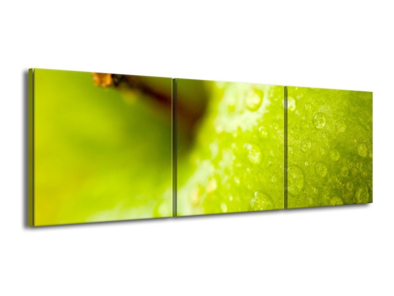 Canvas schilderij Appel | Groen | 150x50cm 3Luik