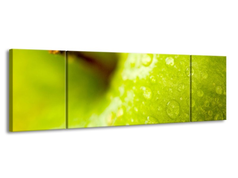 Canvas schilderij Appel | Groen | 170x50cm 3Luik