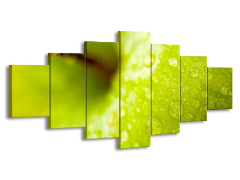 Canvas schilderij Appel | Groen | 210x100cm 7Luik