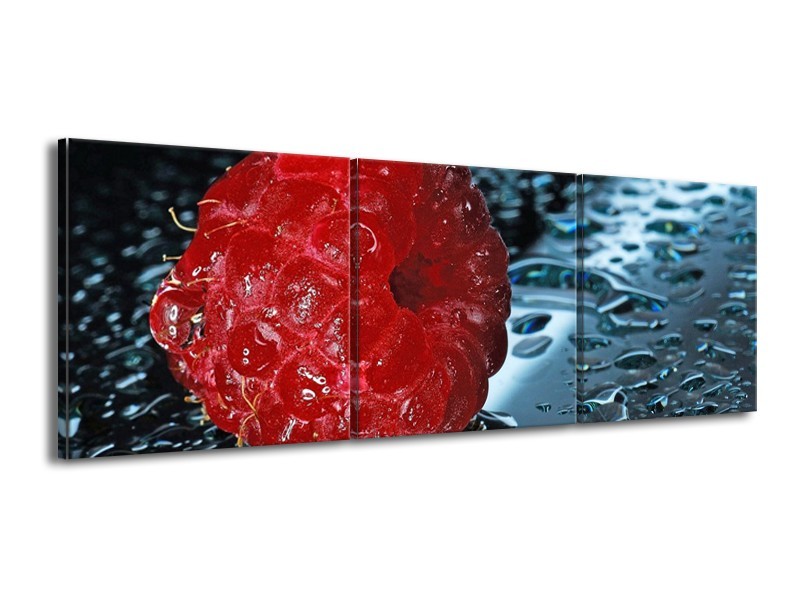 Canvas schilderij Fruit | Rood, Grijs, Wit | 150x50cm 3Luik
