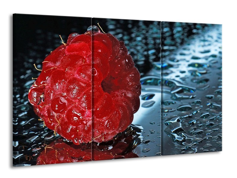 Canvas schilderij Fruit | Rood, Grijs, Wit | 165x100cm 3Luik