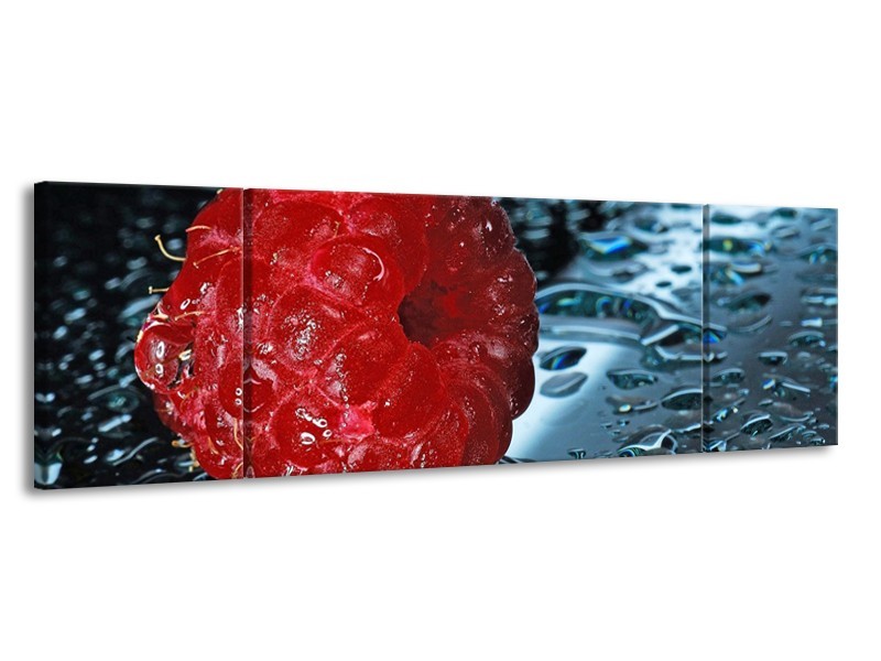 Canvas schilderij Fruit | Rood, Grijs, Wit | 170x50cm 3Luik