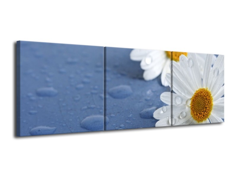 Canvas schilderij Bloem | Wit, Blauw, Geel | 120x40cm 3Luik