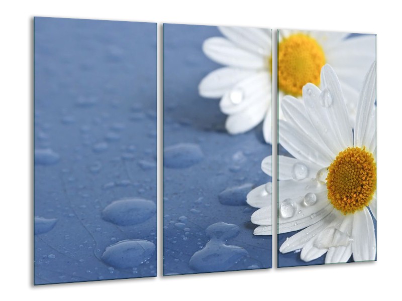 Canvas schilderij Bloem | Wit, Blauw, Geel | 120x80cm 3Luik
