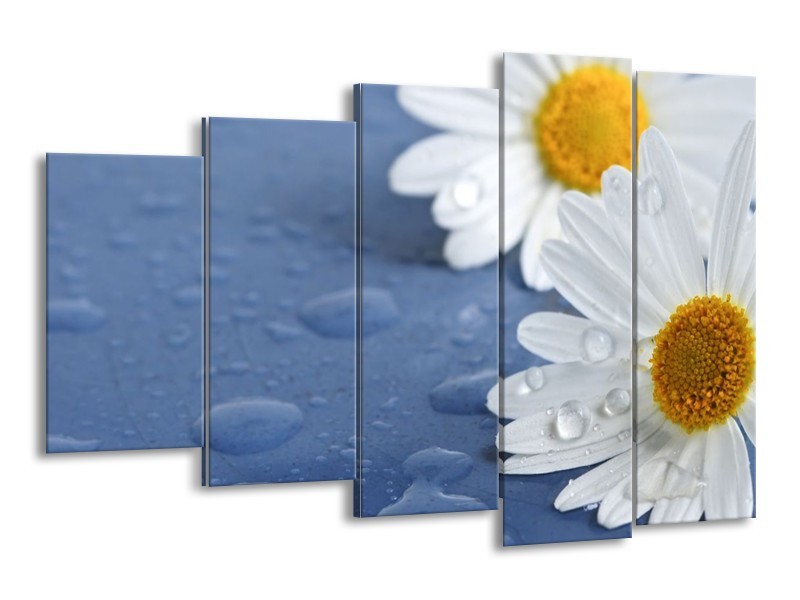 Canvas schilderij Bloem | Wit, Blauw, Geel | 150x100cm 5Luik