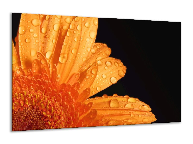 Canvas schilderij Bloem | Zwart, Oranje | 120x70cm 1Luik