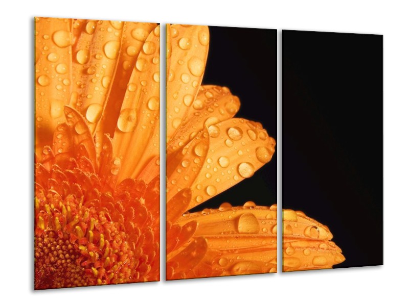 Canvas schilderij Bloem | Zwart, Oranje | 120x80cm 3Luik