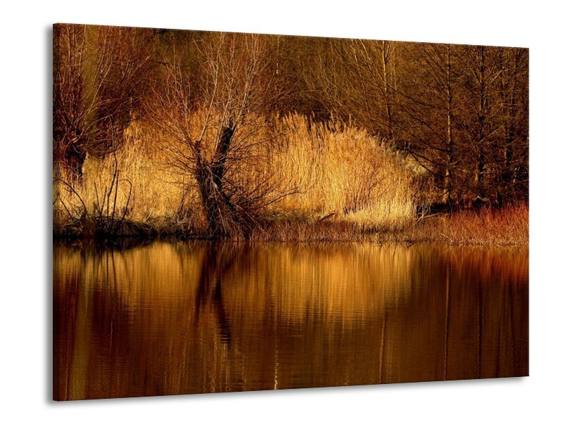 Glas schilderij landschap | Bruin, Wit | 100x70cm 1Luik