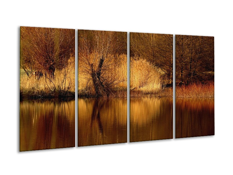 Canvas schilderij landschap | Bruin, Wit | 160x80cm 4Luik