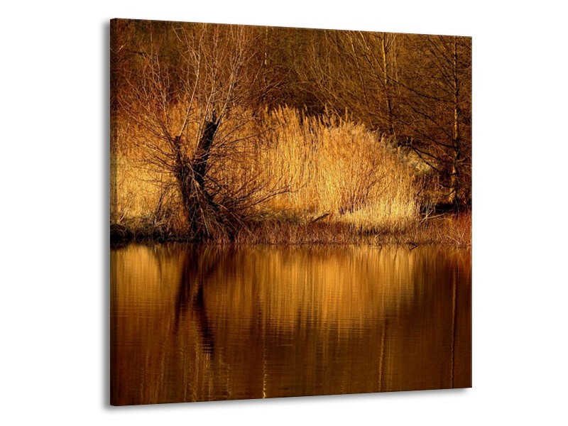 Canvas schilderij landschap | Bruin, Wit | 50x50cm 1Luik