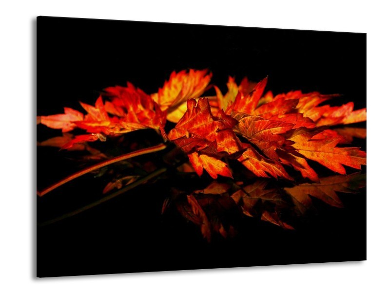 Canvas schilderij Herfstblad | Rood, Zwart, Oranje | 100x70cm 1Luik