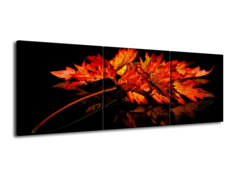 Canvas schilderij Herfstblad | Rood, Zwart, Oranje | 120x40cm 3Luik