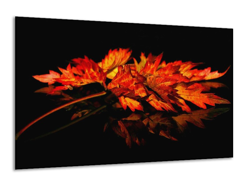 Canvas schilderij Herfstblad | Rood, Zwart, Oranje | 120x70cm 1Luik
