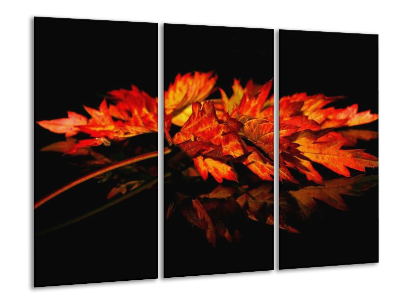 Canvas schilderij Herfstblad | Rood, Zwart, Oranje | 120x80cm 3Luik